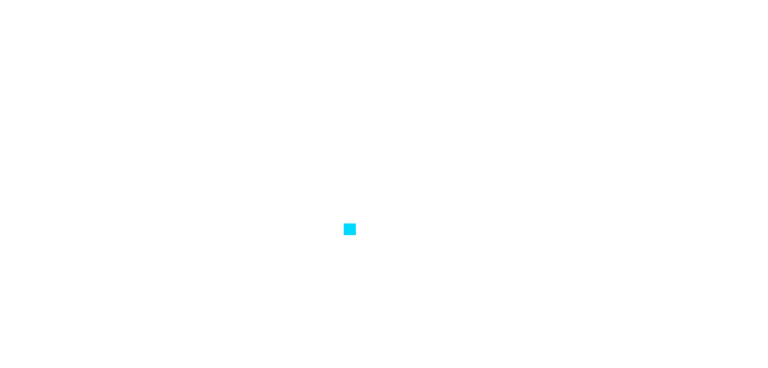 Logo zahranichnicasina.cz